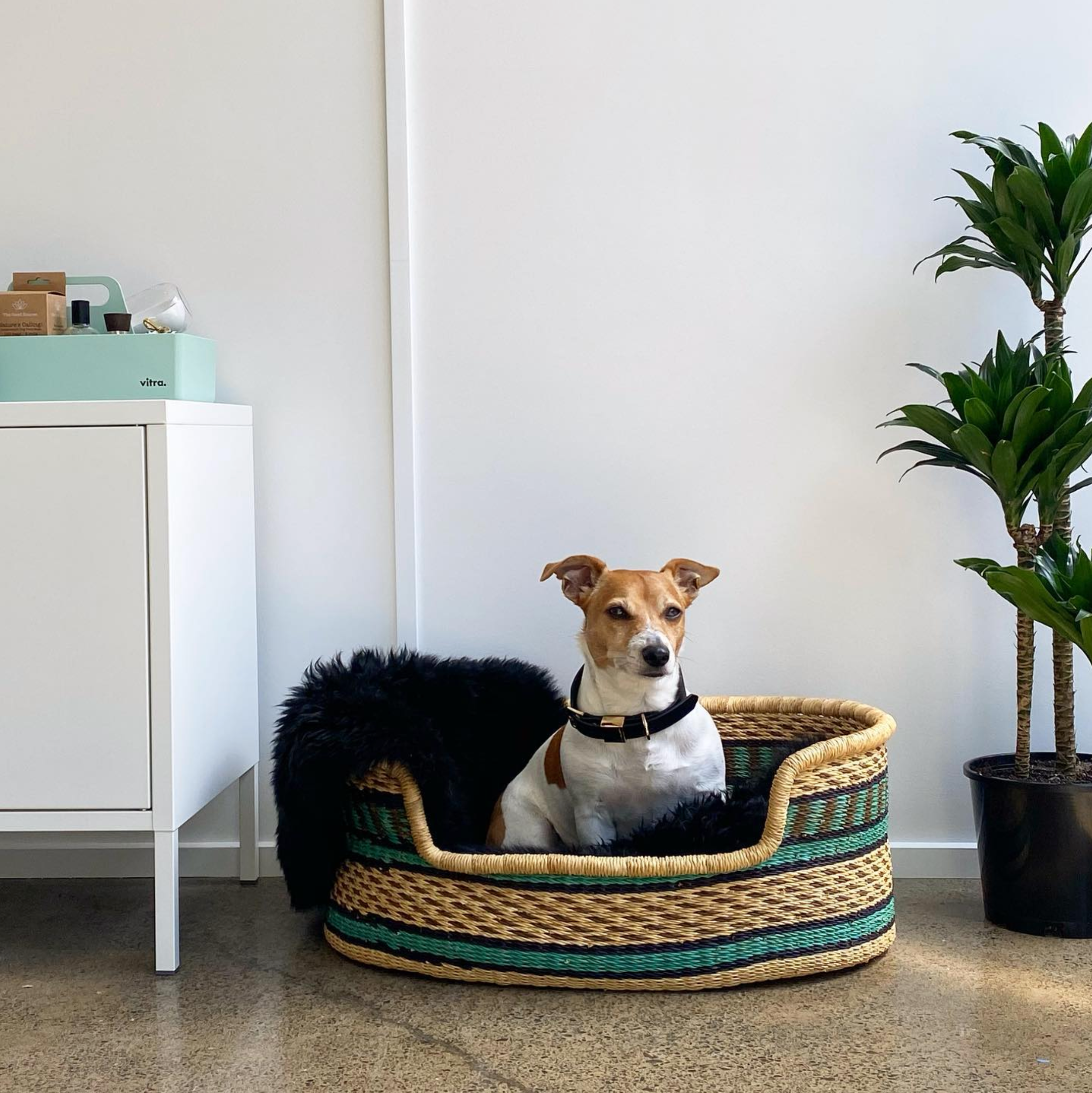 Bolga basket hotsell dog bed