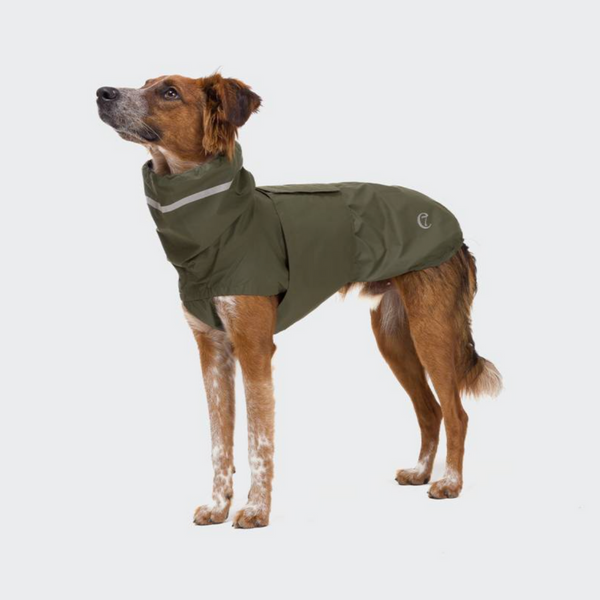 Hamburg Dog Rain Coat