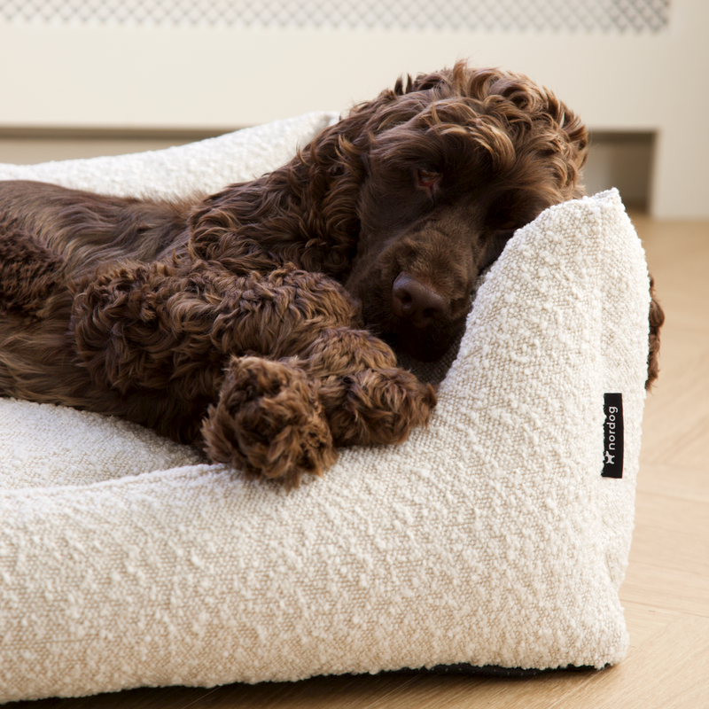 Natural Boucle Dog Bed