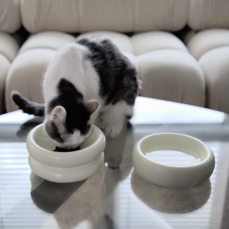 Elevated Halo Cat Bowl