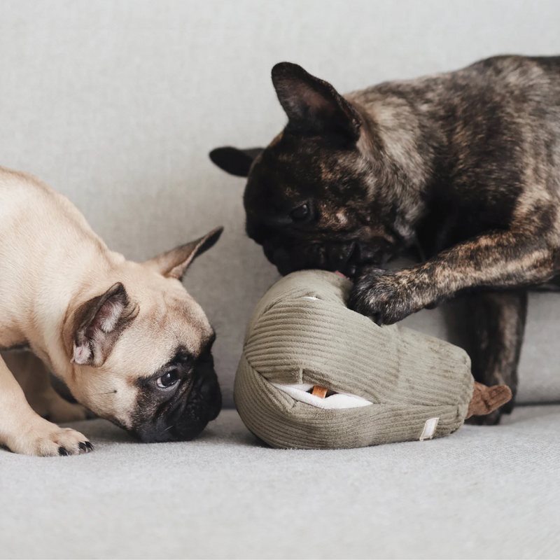 Butternut Enrichment Dog Toy