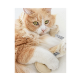 Fortune Cookie Catnip Cat Toy