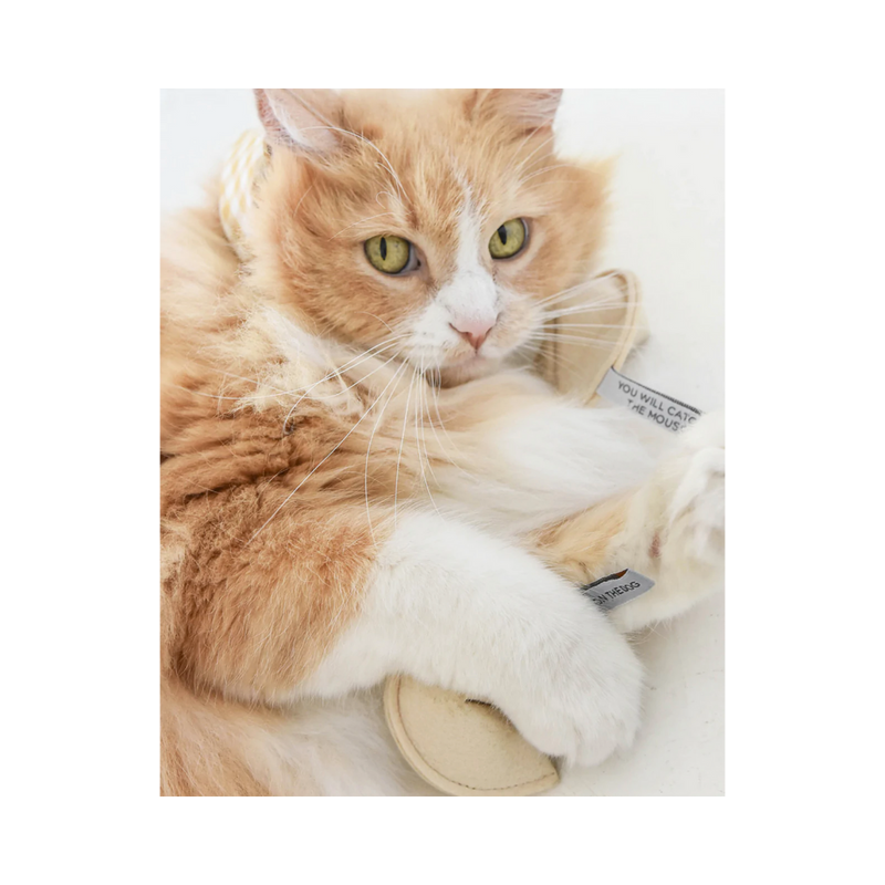 Fortune Cookie Catnip Cat Toy