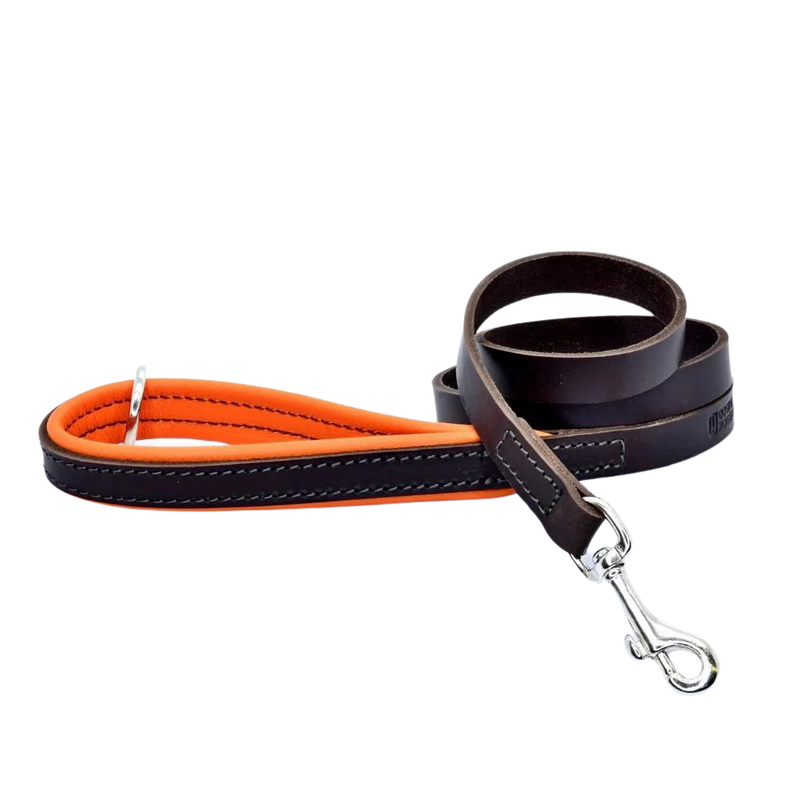 Padded Leather Dog Leash